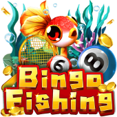 Bingo Fishing on jili777 link